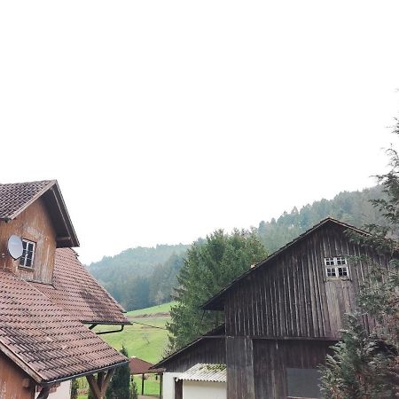Geraeumige Wohnung Im Schwarzwald Seelbach  Eksteriør bilde