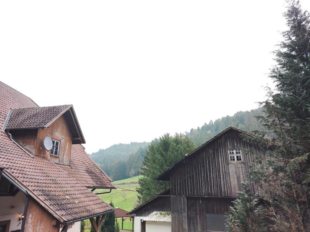 Geraeumige Wohnung Im Schwarzwald Seelbach  Eksteriør bilde