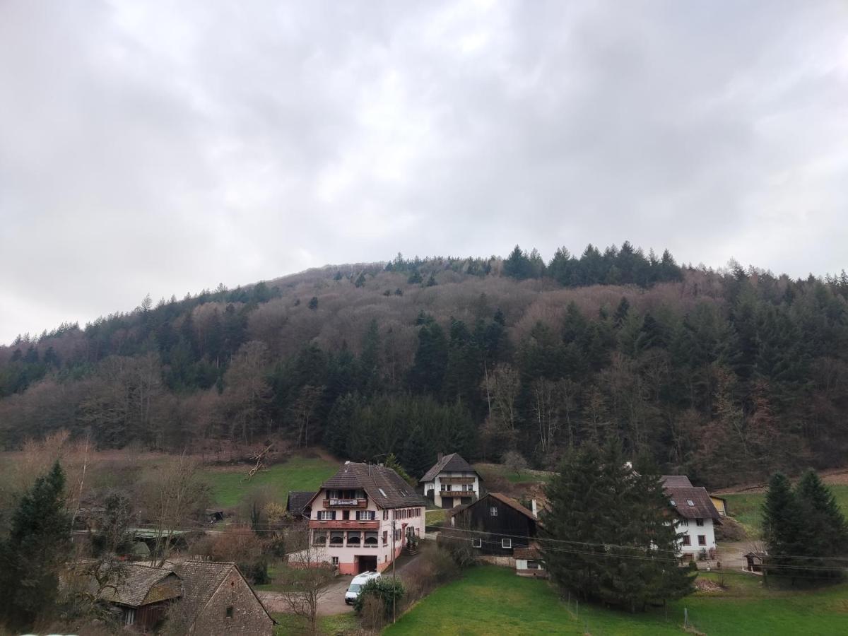 Geraeumige Wohnung Im Schwarzwald Seelbach  Eksteriør bilde